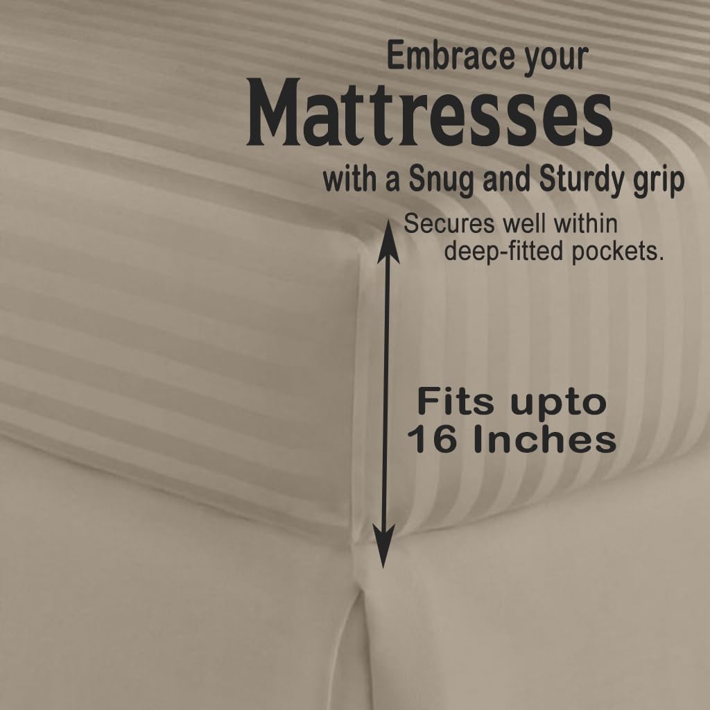 AURAECOM Basics Lightweight Super Soft Easy Care Microfiber 3-Piece Bedsheet, Fitted Bedsheet (BEIGE)